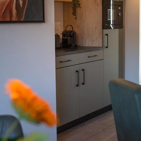 Oud-zilven Het Vogelhuisje Apartment *