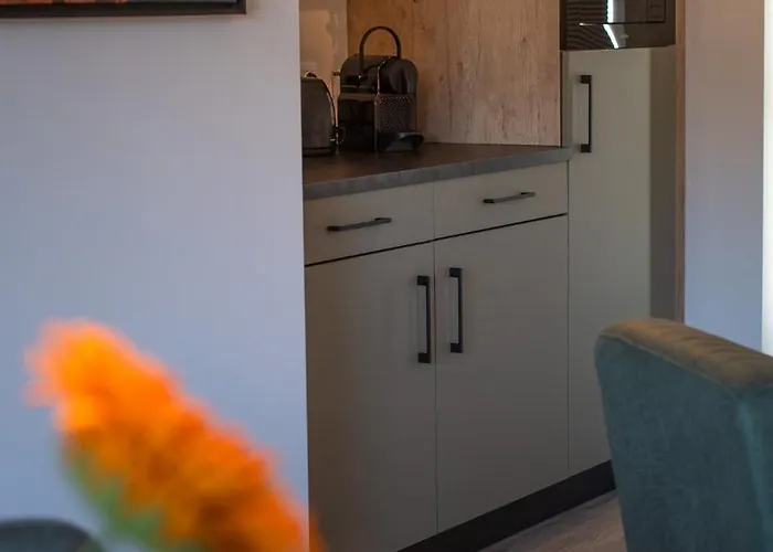 Oud-zilven Het Vogelhuisje Apartment *