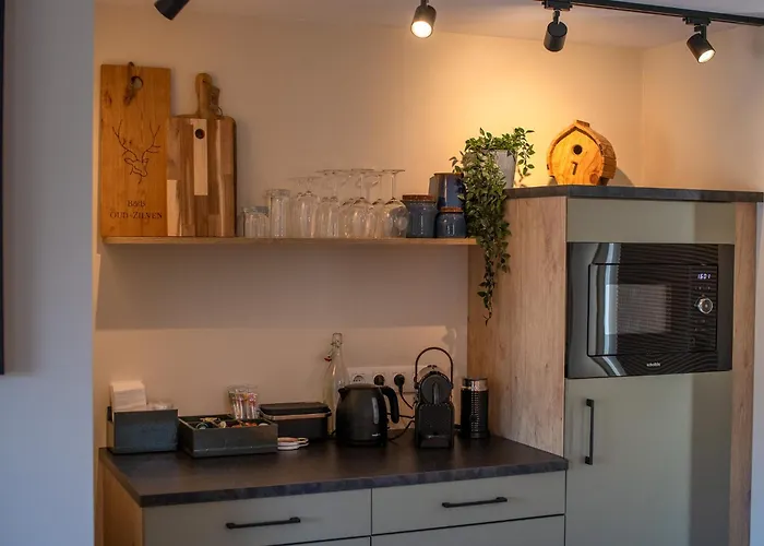 Appartement Oud-zilven Het Vogelhuisje Loenen