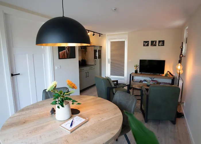 Oud-zilven Het Vogelhuisje Appartement