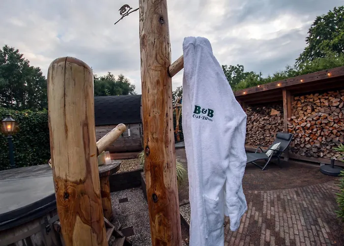 Apartment Oud-zilven Het Vogelhuisje *