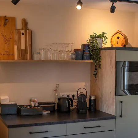 Apartamento Oud-zilven Het Vogelhuisje Loenen